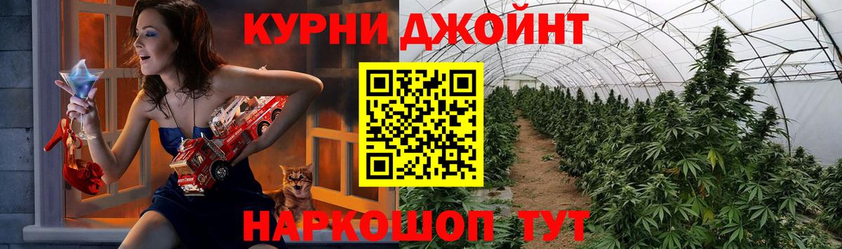 Конопля MAZAR Лабытнанги